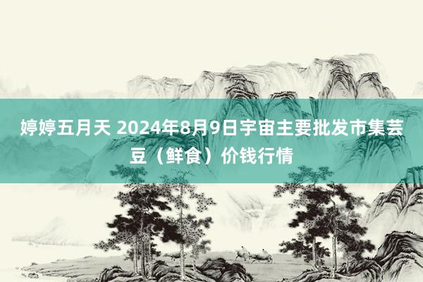 婷婷五月天 2024年8月9日宇宙主要批发市集芸豆(鲜食)价钱行情
