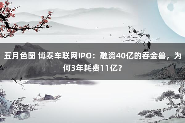 五月色图 博泰车联网IPO：融资40亿的吞金兽，为何3年耗费11亿？