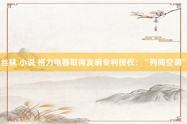 丝袜 小说 格力电器取得发明专利授权：“列间空调”