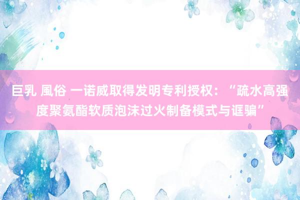 巨乳 風俗 一诺威取得发明专利授权：“疏水高强度聚氨酯软质泡沫过火制备模式与诓骗”