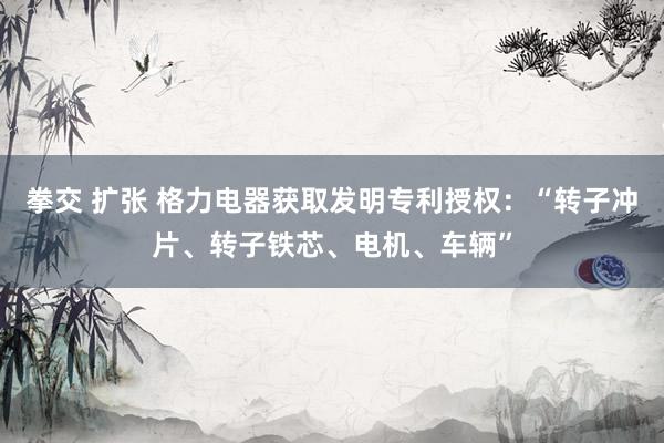 拳交 扩张 格力电器获取发明专利授权：“转子冲片、转子铁芯、电机、车辆”