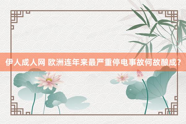 伊人成人网 欧洲连年来最严重停电事故何故酿成？