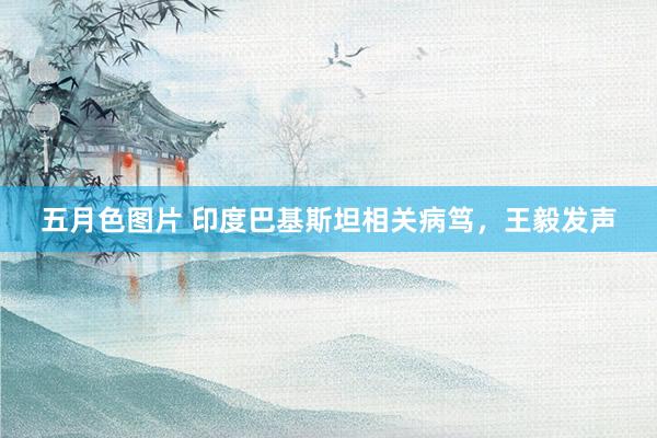 五月色图片 印度巴基斯坦相关病笃，王毅发声