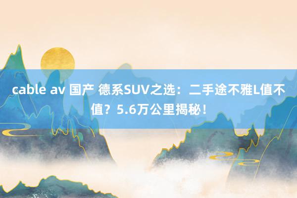 cable av 国产 德系SUV之选：二手途不雅L值不值？5.6万公里揭秘！