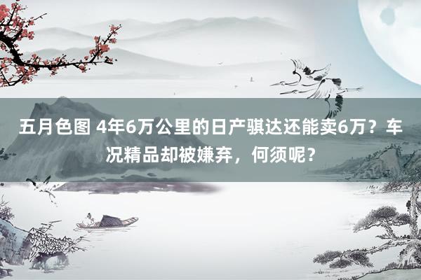五月色图 4年6万公里的日产骐达还能卖6万？车况精品却被嫌弃，何须呢？