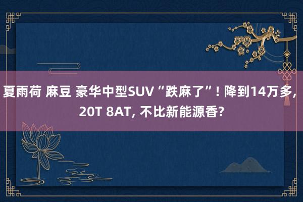 夏雨荷 麻豆 豪华中型SUV“跌麻了”! 降到14万多， 20T 8AT， 不比新能源香?