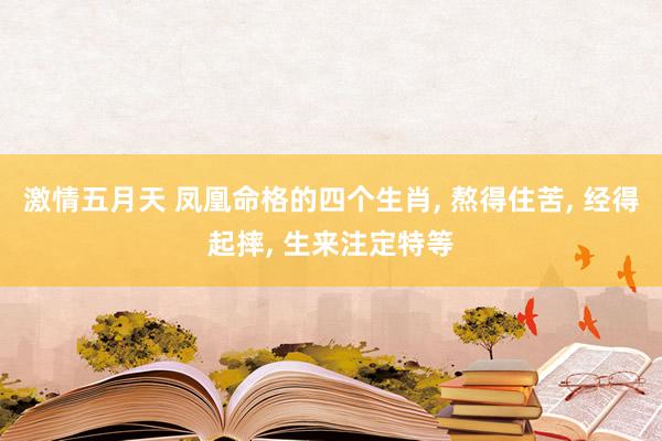 激情五月天 凤凰命格的四个生肖， 熬得住苦， 经得起摔， 生来注定特等