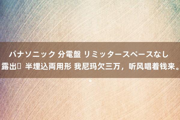 パナソニック 分電盤 リミッタースペースなし 露出・半埋込両用形 我尼玛欠三万，听风唱着钱来。