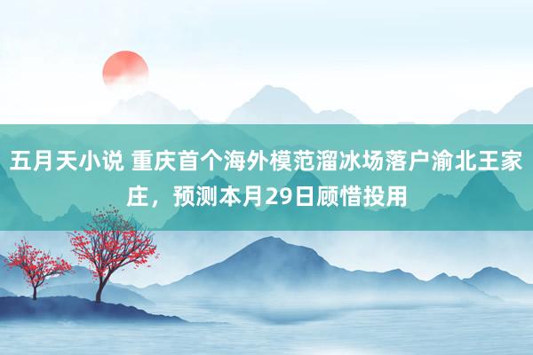 五月天小说 重庆首个海外模范溜冰场落户渝北王家庄，预测本月29日顾惜投用