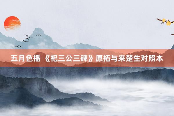 五月色播 《祀三公三碑》原拓与来楚生对照本