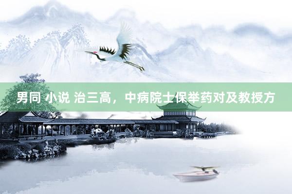 男同 小说 治三高，中病院士保举药对及教授方