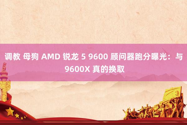 调教 母狗 AMD 锐龙 5 9600 顾问器跑分曝光：与 9600X 真的换取